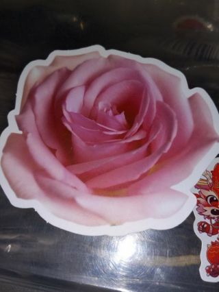 Beautiful new one big vinyl lap top sticker no refunds regular mail very nice quality