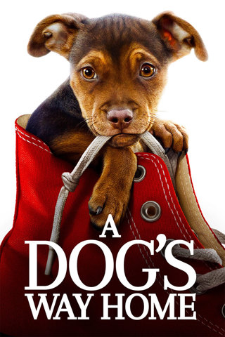 A Dogs Way Home   (SD) - "MOVIESANYWHERE "REDEEM CODE" 