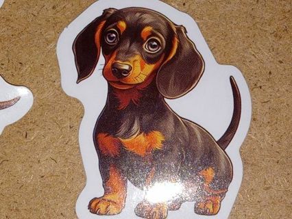 Cute new nice small vinyl sticker no refunds regular mail win 2 or more get bonus