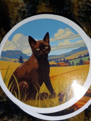 Cat Cute new one nice vinyl laptop sticker no refunds regular mail very nice quality!