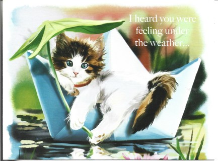 Brand New Never Been Used Get Well Greeting Card With Envelope