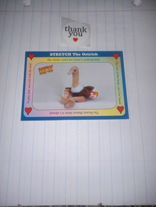 Ty Beanie Baby Card