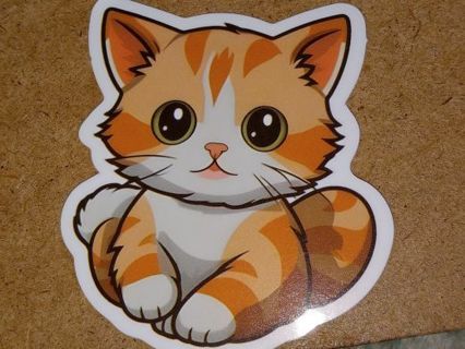 Cat new one adorable vinyl lap top sticker no refunds regular mail very nice quality