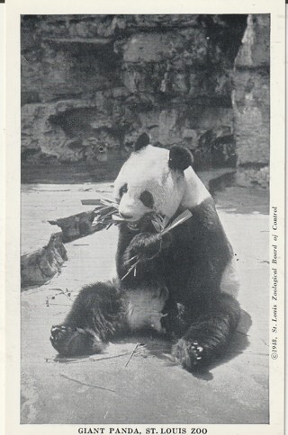 Vintage Unused Postcard: b&w: Saint Louis Zoo