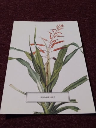 Botanical Postcard - BROMELIAD