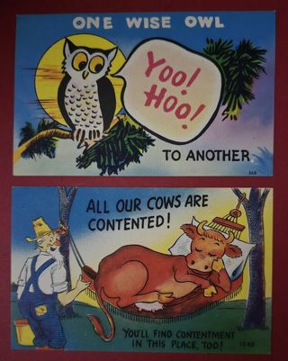 Two Unused Vintage Cartoon Postcards