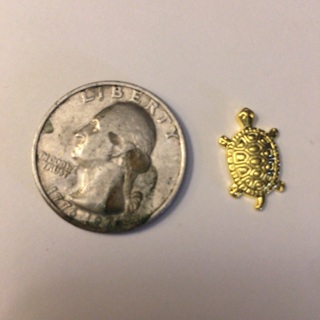 Mini GP Lucky Turtle Read description before bidding 