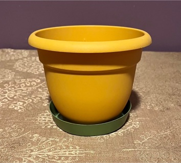 Yellow & Green Flower Pot 