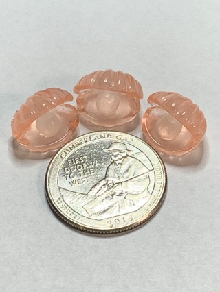 CLAMSHELLS~#20~PINK~SET OF 3~GLOW IN THE DARK~FREE SHIPPING!