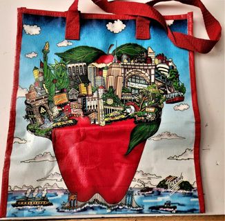 2009 Charles Fazzini Food Emporium large reusable plastic shopping bag - size 16" x 14" x 6 1/2"