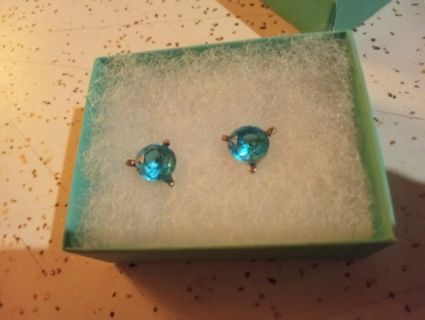 Just a blue colored stone earrings