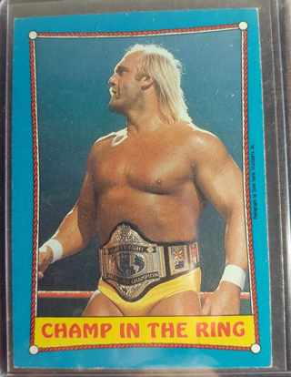 Hulk Hogan WWF Champ in the Ring