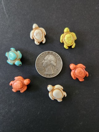 (6) Multi-Color Howlite Turtle Beads