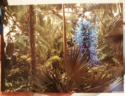 Photo Notecard from "Gardens & Glass" series #3