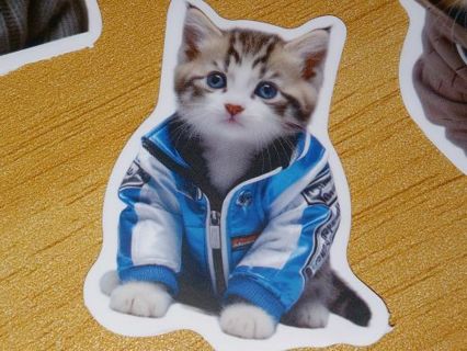 Cat Cute new 1⃣ nice vinyl lab top sticker no refunds regular mail high quality!