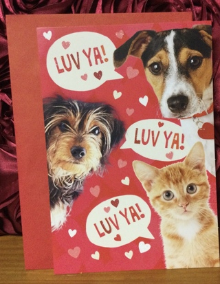 Puppies and Kitten Valentine Day Card