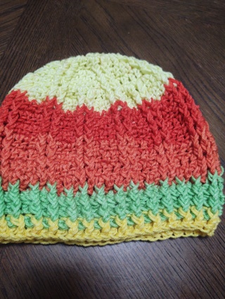 Hand Crocheted Ribbed Hat 