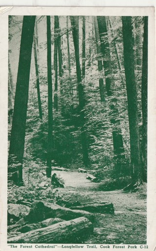 Vintage Used Postcard: g: 1947 Longfellow Trail, Cook Forest Park