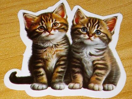 Cat Cute one new nice vinyl lab top sticker no refunds regular mail high quality!