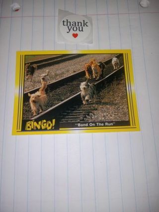 1991 Pacific Bingo CARD