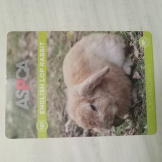 ASPCA Trading Card