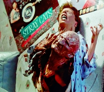 15 Horror Movies on 11 DVDS - hellraiser- nightmare on elm Street 