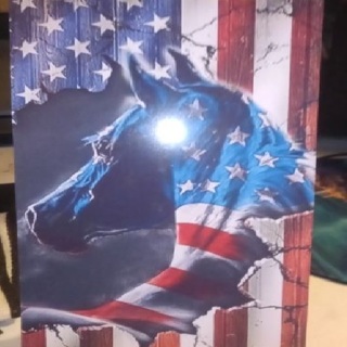 Stars, Stripes American Horse Magnet