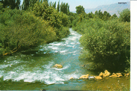 Vintage Postcard The Banias, Israel