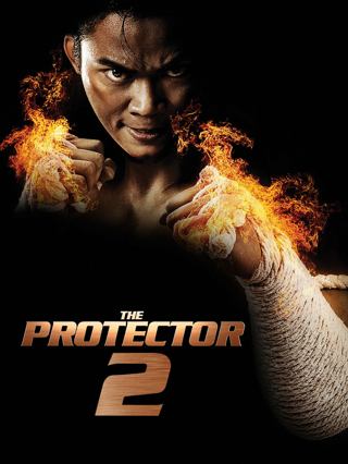 Protector 2 SD Redeems At (Vudu)