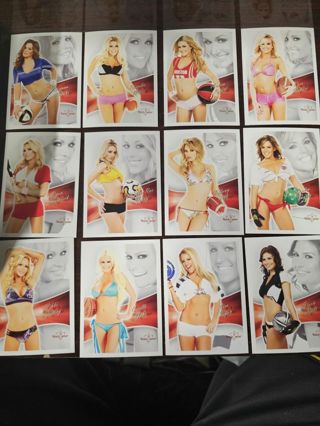 2013 Benchwarmer 24 card lot(group A)