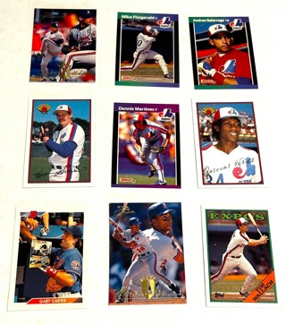 9 Card Lot-Expos-Martinez,Carter,Alou,Wallach,Galarraga Gross