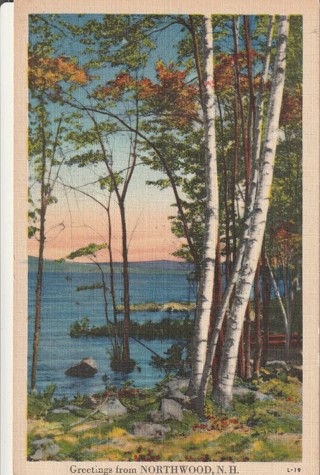 Vintage Unused Postcard: Linen: Greetings from Northwood, NH