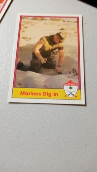 Marines Dig In