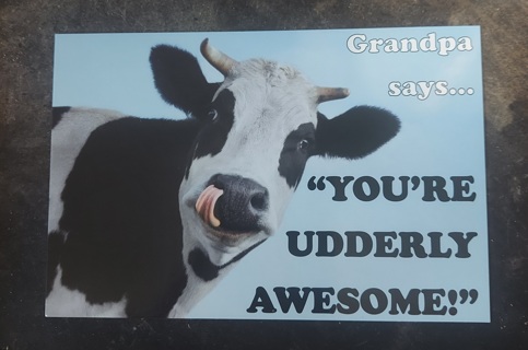 Udderly Awesome Postcard 