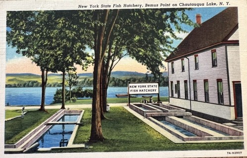 1940's NY Fish Hatchery Post Card