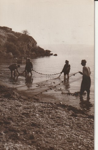 Vintage Unused Postcard: gin k: Net Fishing