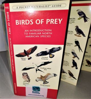 2002 BIRDS OF PREY pocket guide made in Hong Kong 12 pages 3 3/4" x 8 1/4" - laminated on both sides