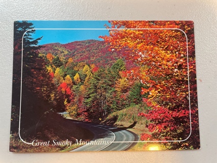 Fall Color Hightway Scene Postcard