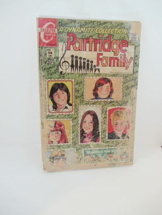 The Partridge Family NO.7