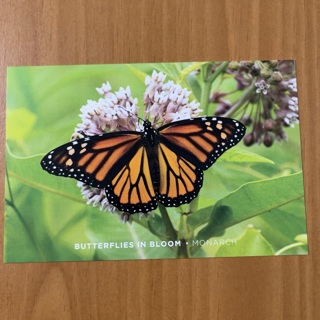 Monarch Post Card