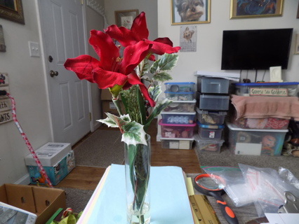 Red silk Amaryellis flower and Holly & Ivy leaves in clear cylinder  vase 15 inch weighted