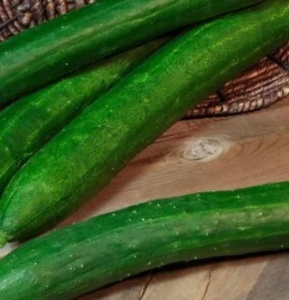 Tasty Green cucumbers--10 seeds