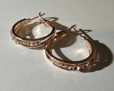 Exquisite Rhinestone Circle Earrings