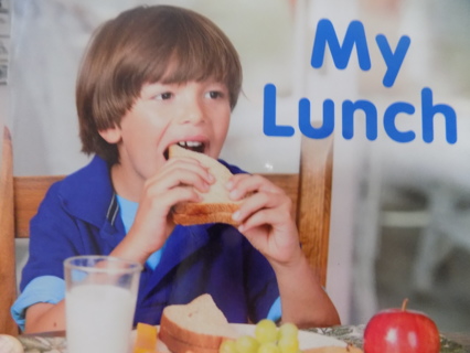 My Lunch a child's book