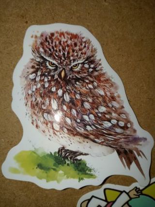 Owl Cool nice big vinyl sticker no refunds regular mail only Very nice quality!