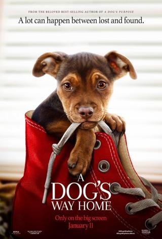 A Dog's Way Home (SD) (Movies Anywhere) VUDU, ITUNES, DIGITAL COPY