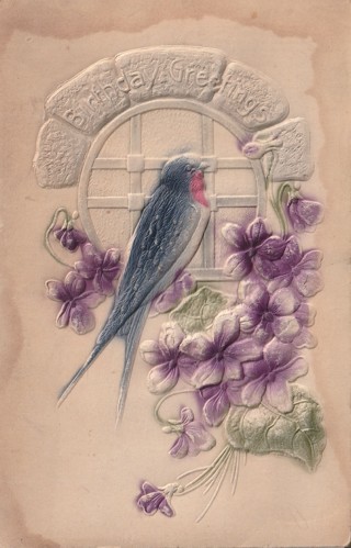 Vintage Used Postcard: j: 1911 Bluebird