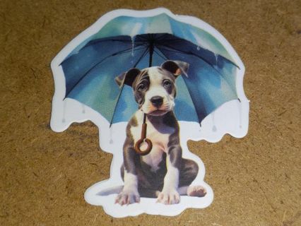 Dog new one vinyl lap top sticker no refunds regular mail very nice quality