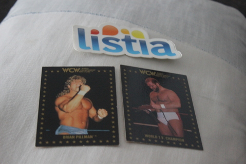 (2) 1991 WCW Championship Marketing Wrestling Cards Brian Pillman Arn Anderson NWA WWF WWE