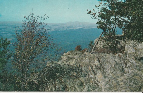 Vintage Unused Postcard: L: Shenandoah Valley